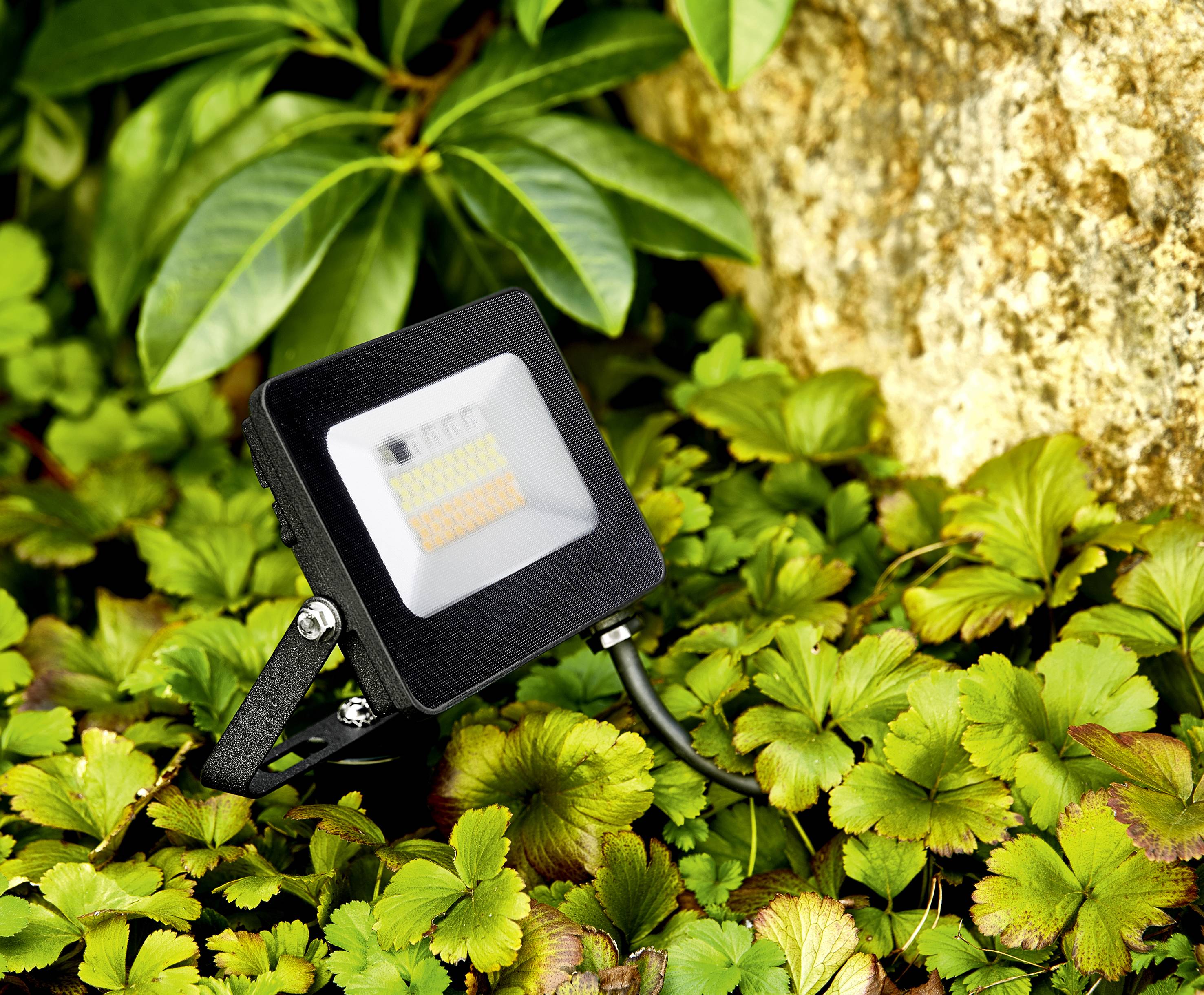 An LED floodlight sits among green plants near a rock, illuminating the surroundings in a garden or outdoor area.
