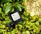 An LED floodlight sits among green plants near a rock, illuminating the surroundings in a garden or outdoor area.