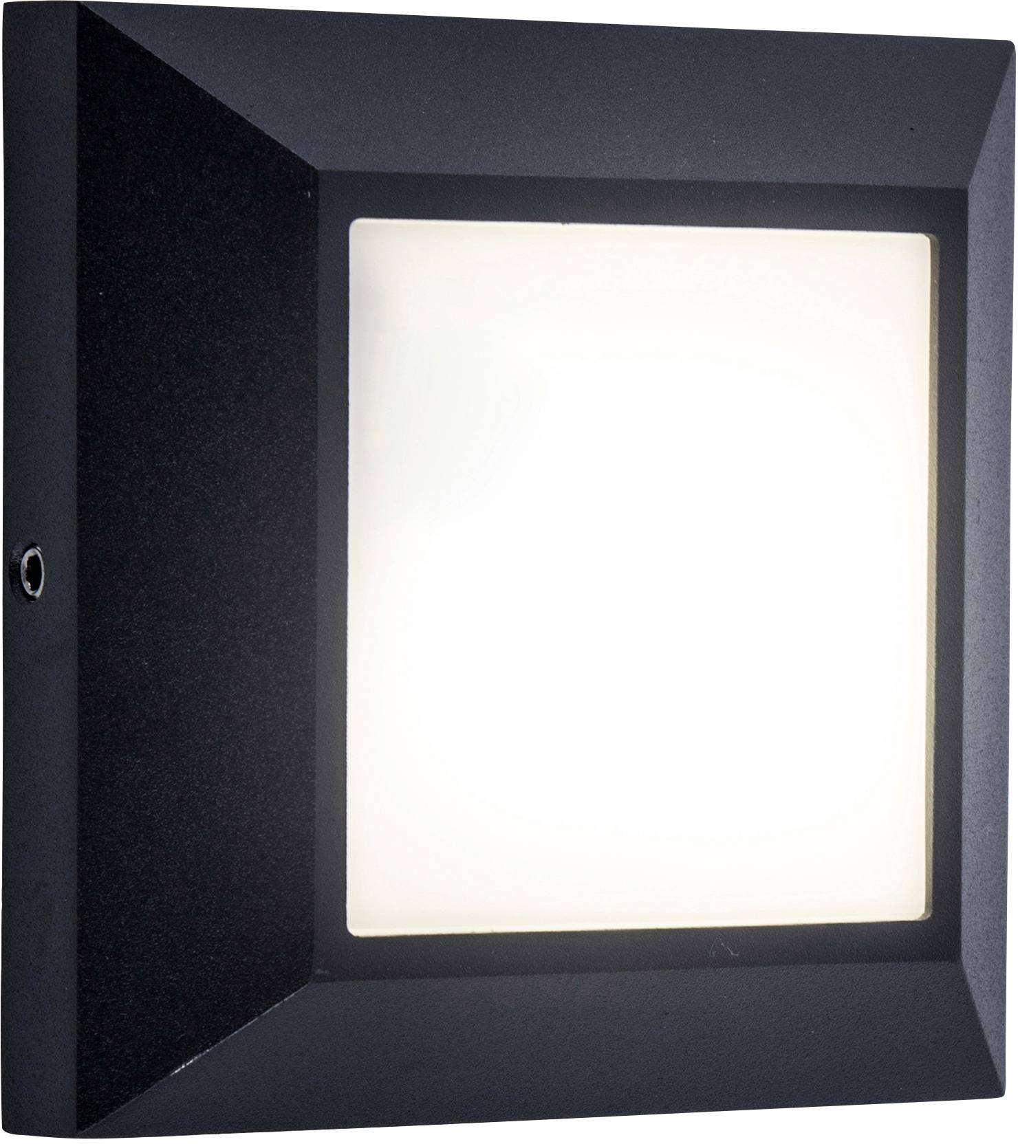 Lutec Helena 6402101118 LED outdoor wall light 4 W Anthracite
