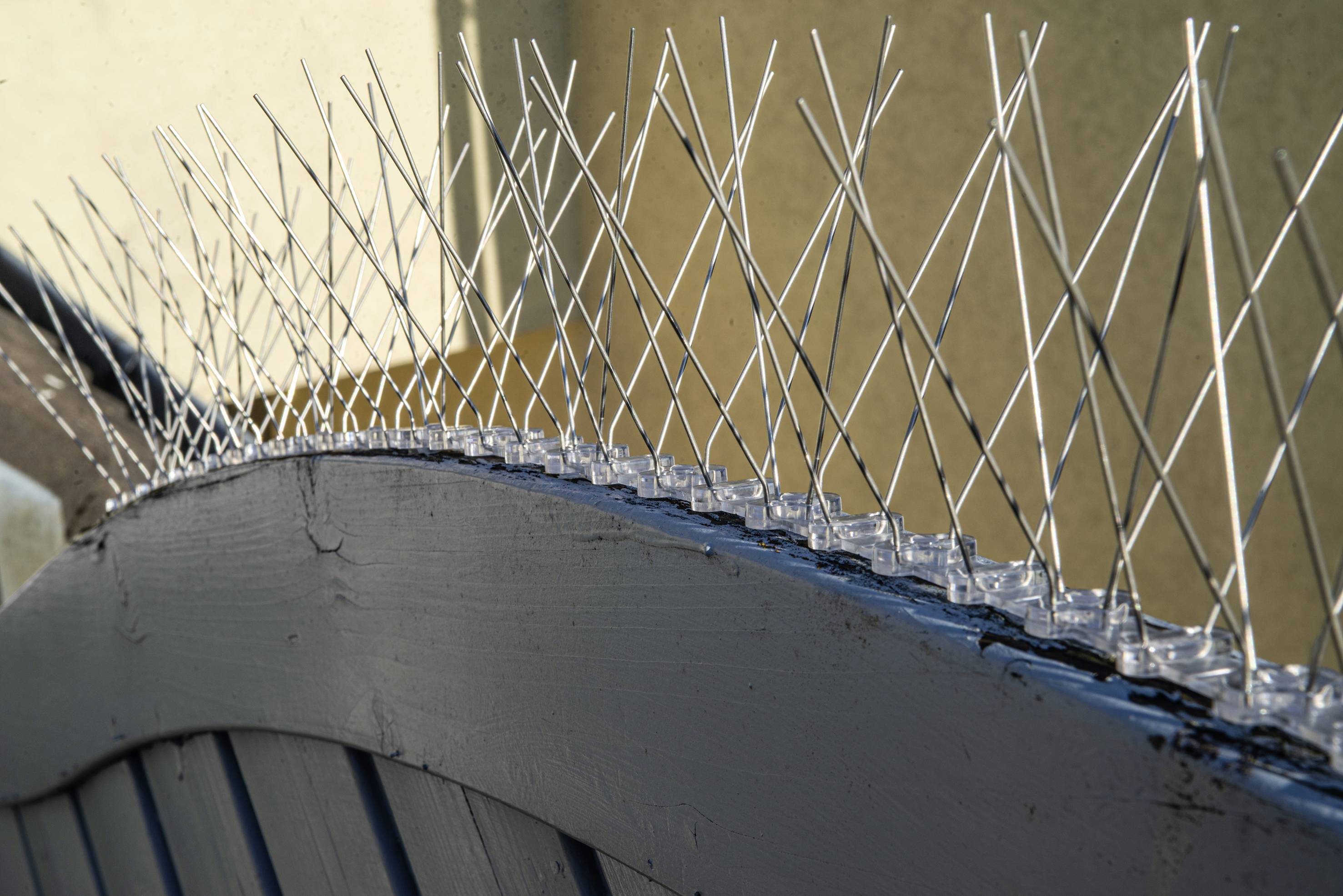 Bird deterrent spikes on a fence to prevent pigeons from landing. Sunlight creates shadows on the wall in the background.