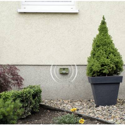 A small green tree in a grey pot is standing in front of a beige-painted wall. A sensor is mounted on the wall.