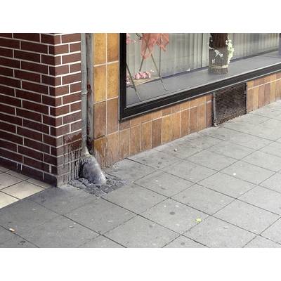 Rainwater downpipe at a building corner leads dirt streaks down to the street. Window mirror with decoration in the background.