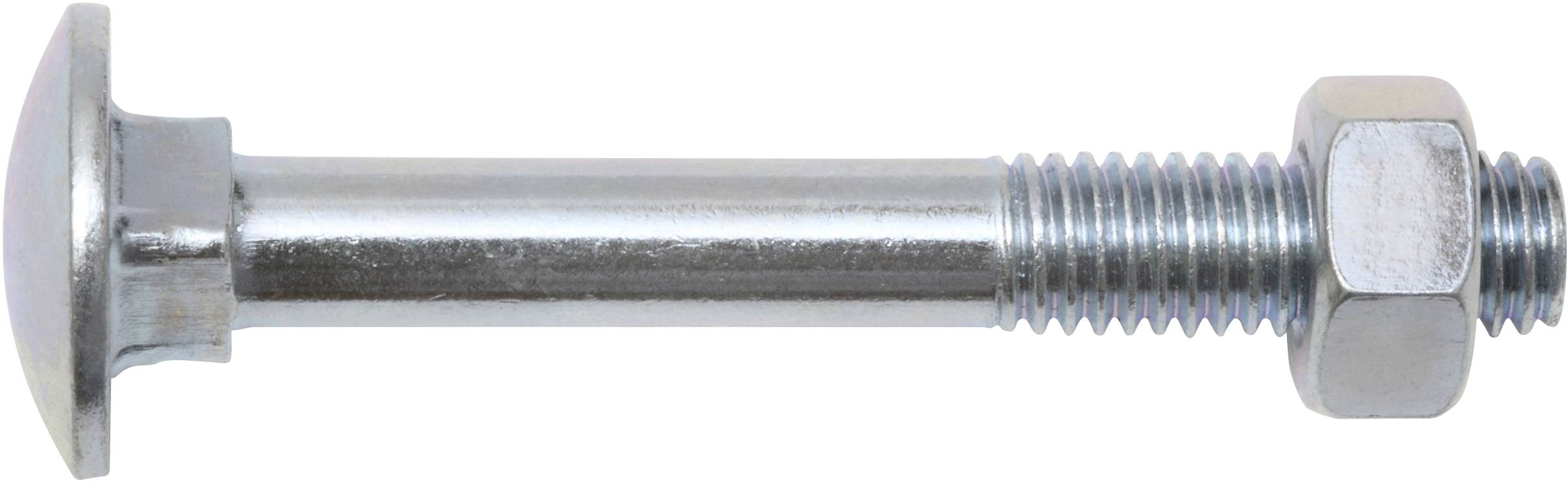 A metal bolt with a round head and a hexagonal nut, both made of shiny steel, on a white background.