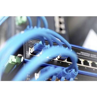 A network switch with multiple connected blue Ethernet cables, providing connectivity for various devices in a network.
