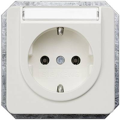 White socket with two holes and earthing pin, brand name visible. It is square and frameless mounted.