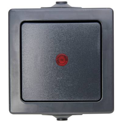 Black wall switch with a red indicator light in the centre, often used to indicate an active electrical circuit.