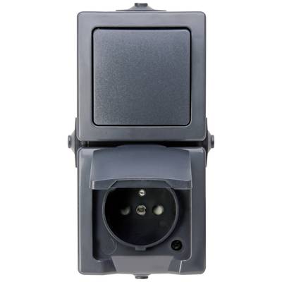 Double socket with protective cover in closed position, suitable for use outdoors or in damp environments.