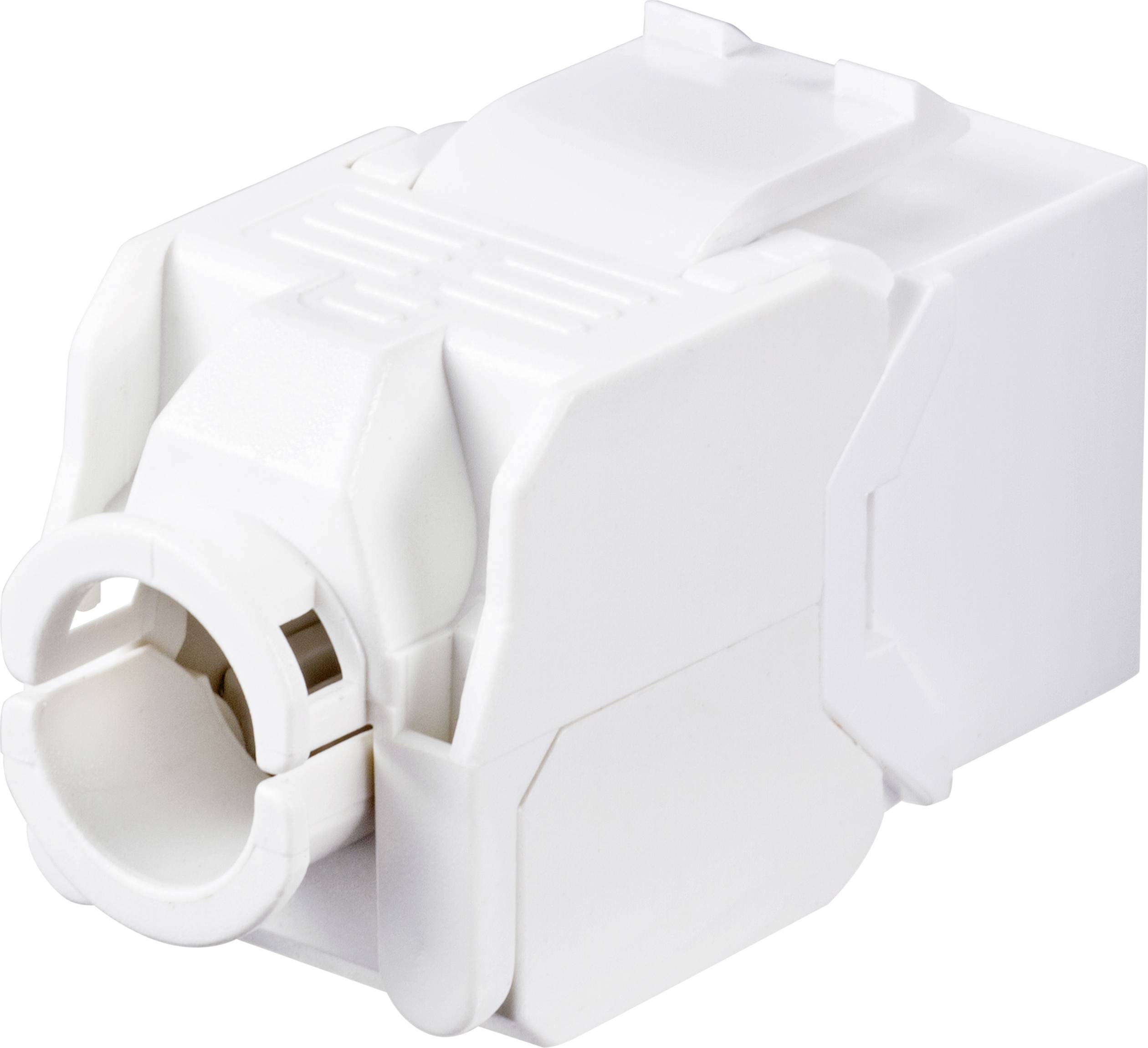 Renkforce Networks Adapter CAT 6A [1x RJ45 socket - 1x RJ45 socket]-1