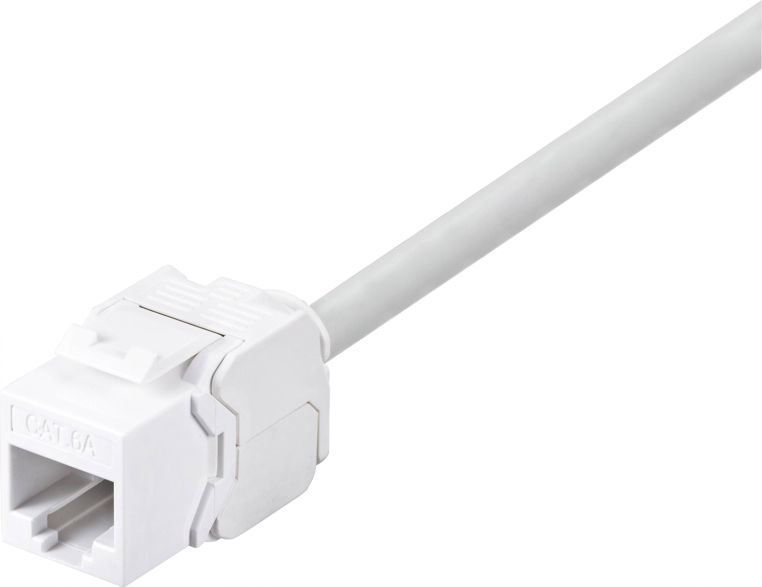 Renkforce Networks Adapter CAT 6A [1x RJ45 socket - 1x RJ45 socket]-2