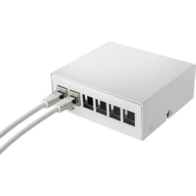 Buy Renkforce 6 ports Keystone module consolidation point box ...