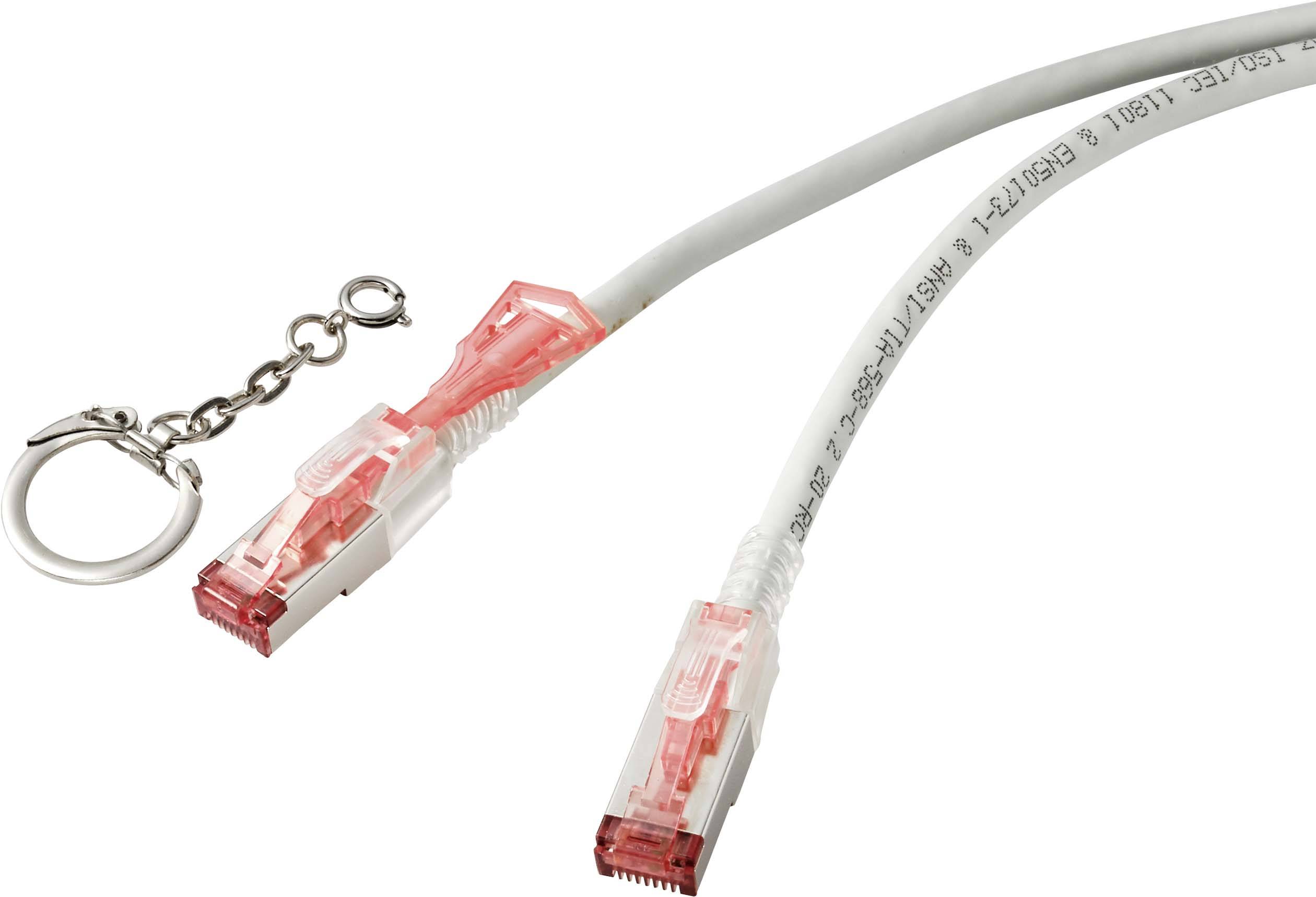 Renkforce RF-4533114 RJ45 Network cable, patch cable CAT 6A S/FTP 1.00 m Grey lockable 1 pc(s)-0