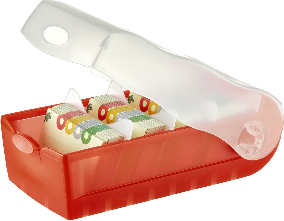 Lever arch file with coloured dividers.