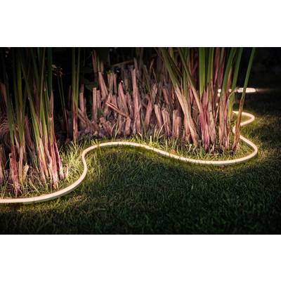 Illuminated garden hose lights up the base of plants at dusk, creating a moody garden atmosphere.