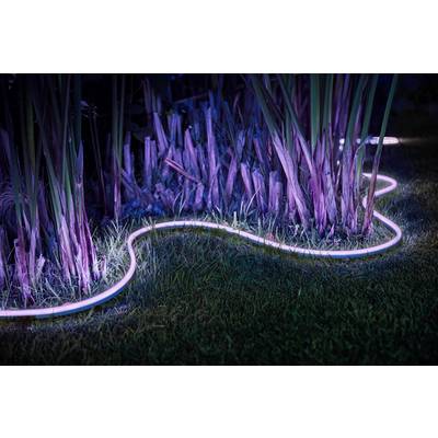 A luminous LED strip illuminates plants in a garden at night. The light creates atmospheric, purple accents.