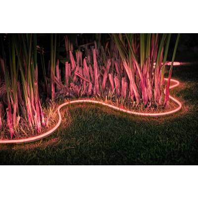 A luminous, red light tube weaves through grass and plants, illuminating the surroundings in warm light.