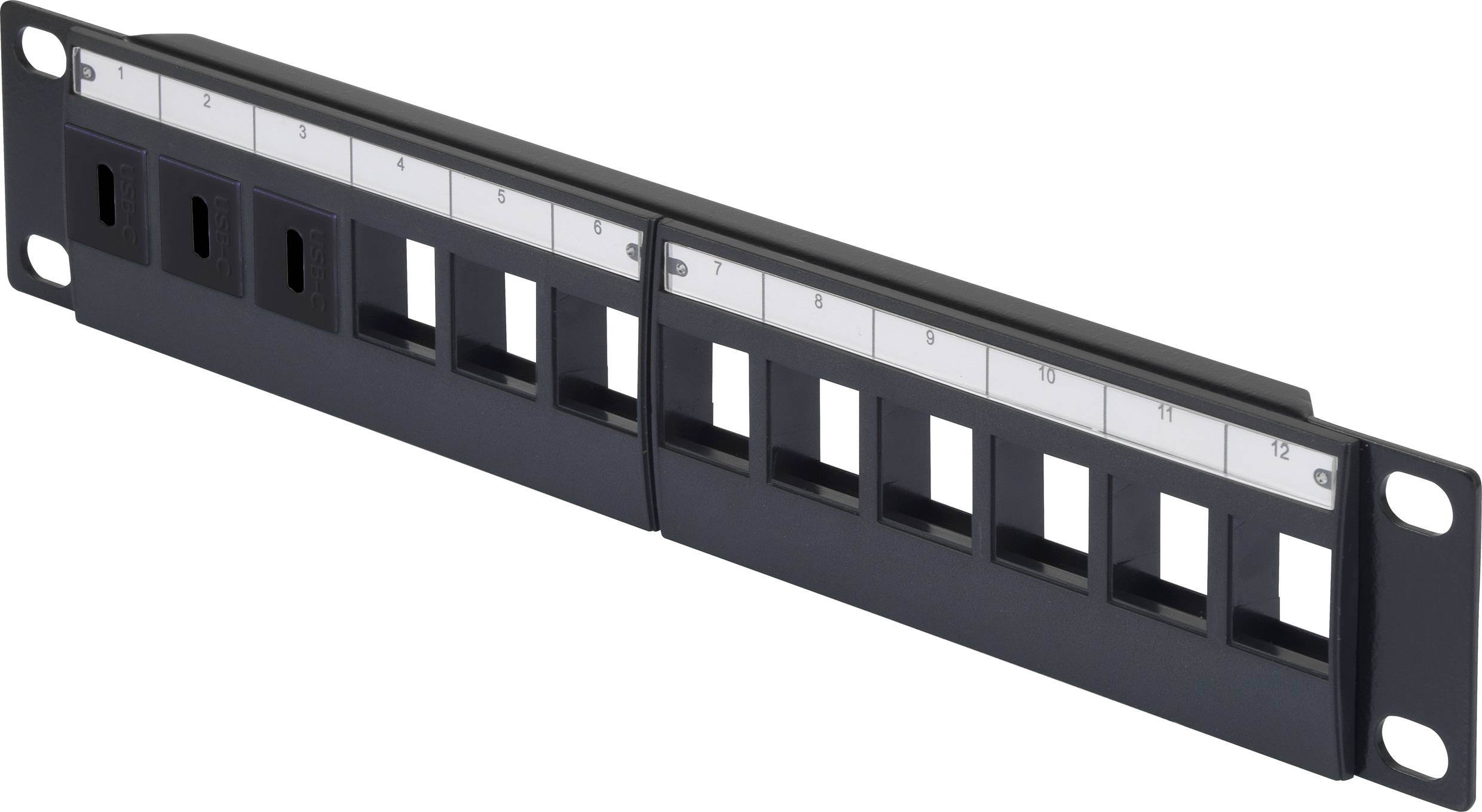 Network patch panel with 12 empty ports for mounting in a rack. It is used for organising and connecting network cables.