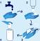 Infographic on Hand Hygiene: 1. Rinse hands under tap. 2. Apply soap. 3. Wash hands thoroughly. 4. Dry with paper towel.