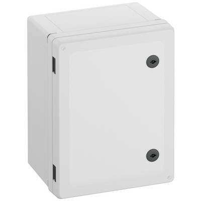 A rectangular, light grey enclosure with two black mounting elements on the front. The enclosure appears robust and functional.