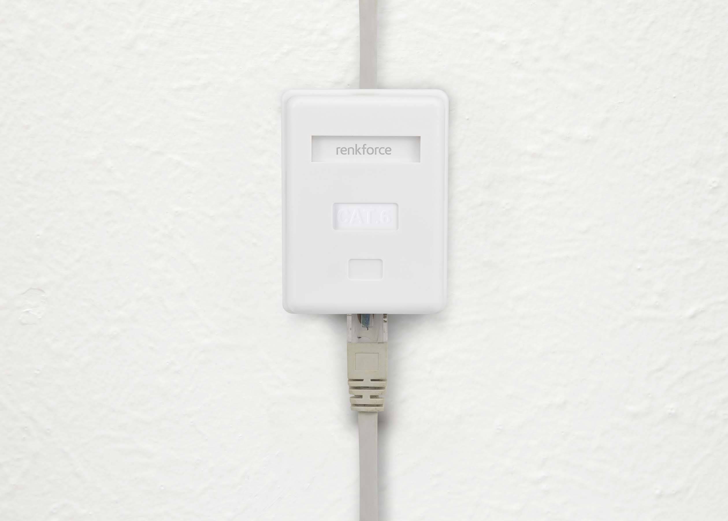 A network socket on a white wall, marked with 'renkforce', connected with an Ethernet cable.