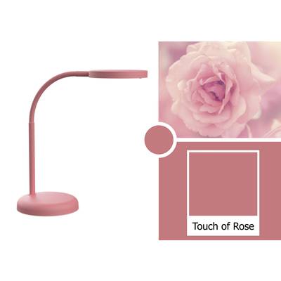 A pink table lamp next to a square in the same colour with the inscription 'Touch of Rose'. A pink flower in the top right corner.