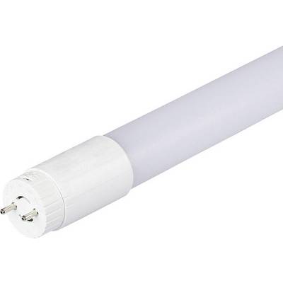 White LED tube with plug connection, suitable for energy-efficient lighting in indoor spaces such as offices or workshops.