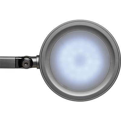 A round LED lamp with blue light, mounted on a metal arm, likely used for magnification or illumination.