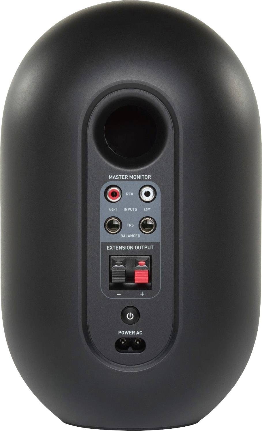 Black speaker from behind; shows inputs for RCA, XLR, jack, terminal for speaker cables and power connection.