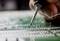 Close-up of a hand working with a soldering iron on a green circuit board. The focus is on precision and technology.