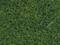 Close-up of green, dense artificial grass with a fine texture and moist sheen, mimicking a natural grass surface.