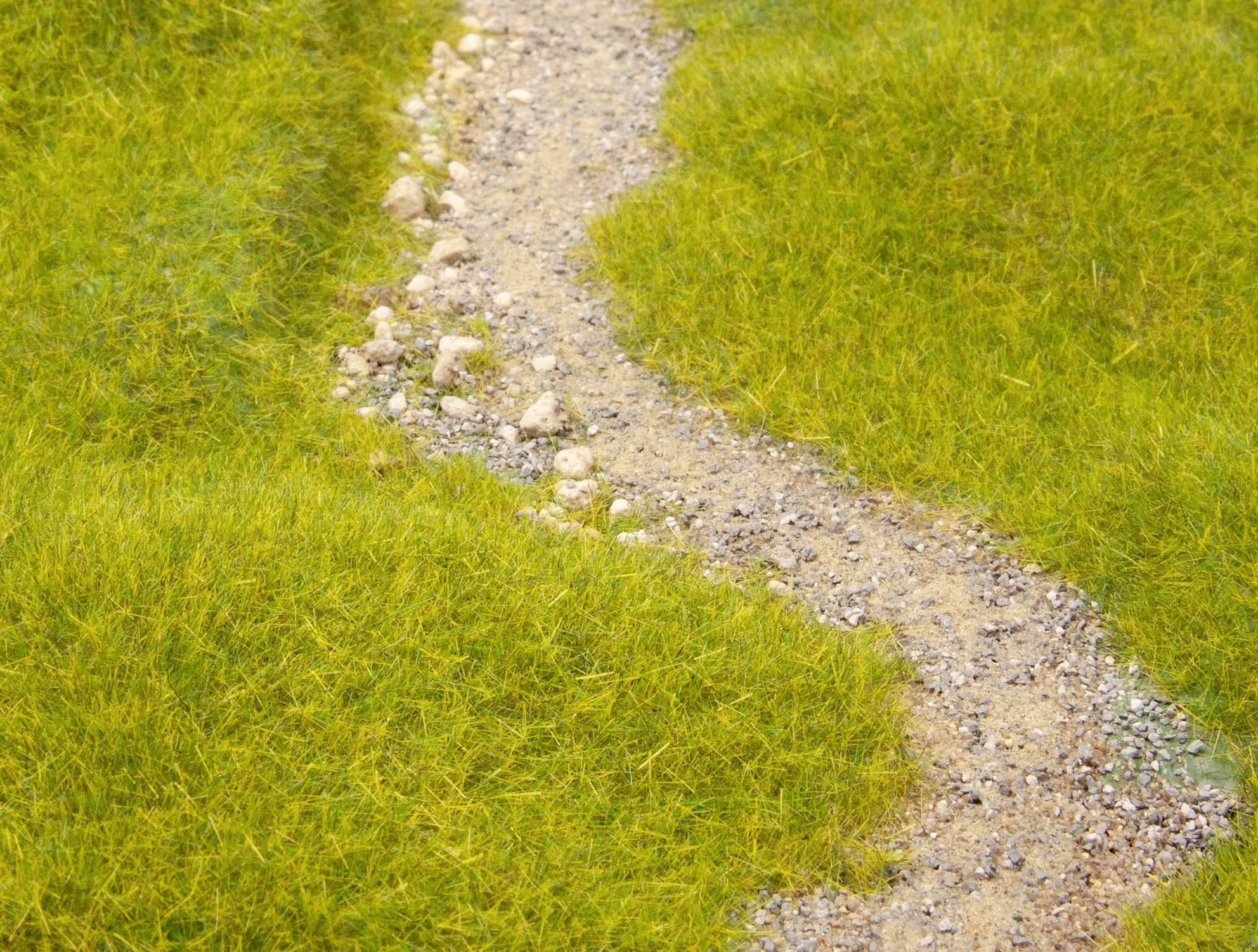 A narrow, winding gravel path winds through a green meadow.