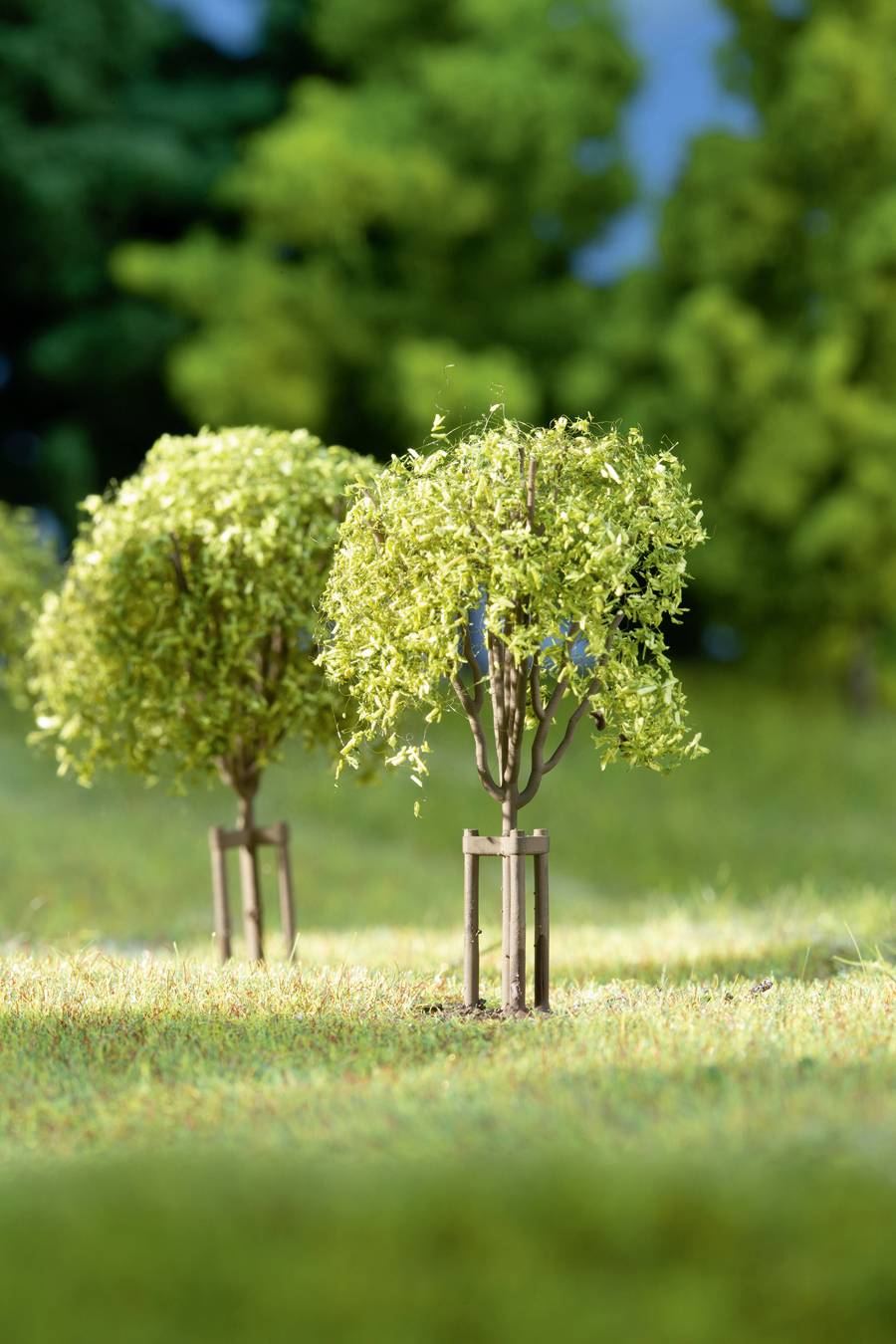 Two model trees on a green meadow, with further trees in the background. The scene conveys a miniature park or landscape feeling.