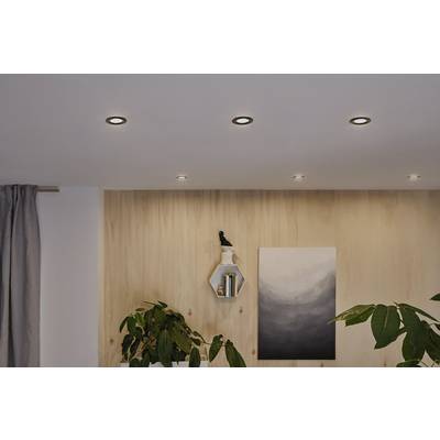 A contemporary living space with a wooden wall, plants, an art piece and shelves containing small decorative items. Six ceiling lights illuminate the room.
