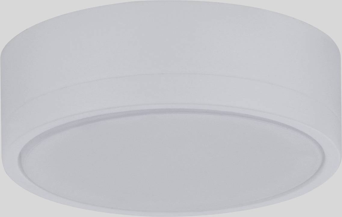 A round, white ceiling light with a simple design. It is suitable for modern living spaces or offices.