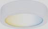 Paulmann CC Disc Plinth lighting 2.10 W Warm white White
