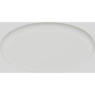 White, oval ceiling light with diffused cover against a grey background.