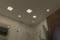 A modern bathroom ceiling with multiple square ceiling lights, a shower and a plant on the right-hand side.