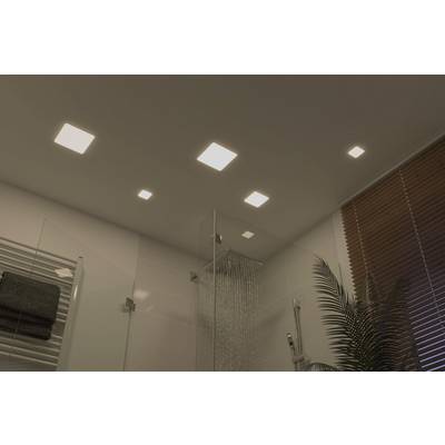 Several square LED lights on the bathroom ceiling. Underneath, a shower with a glass wall and a fern positioned to the side.