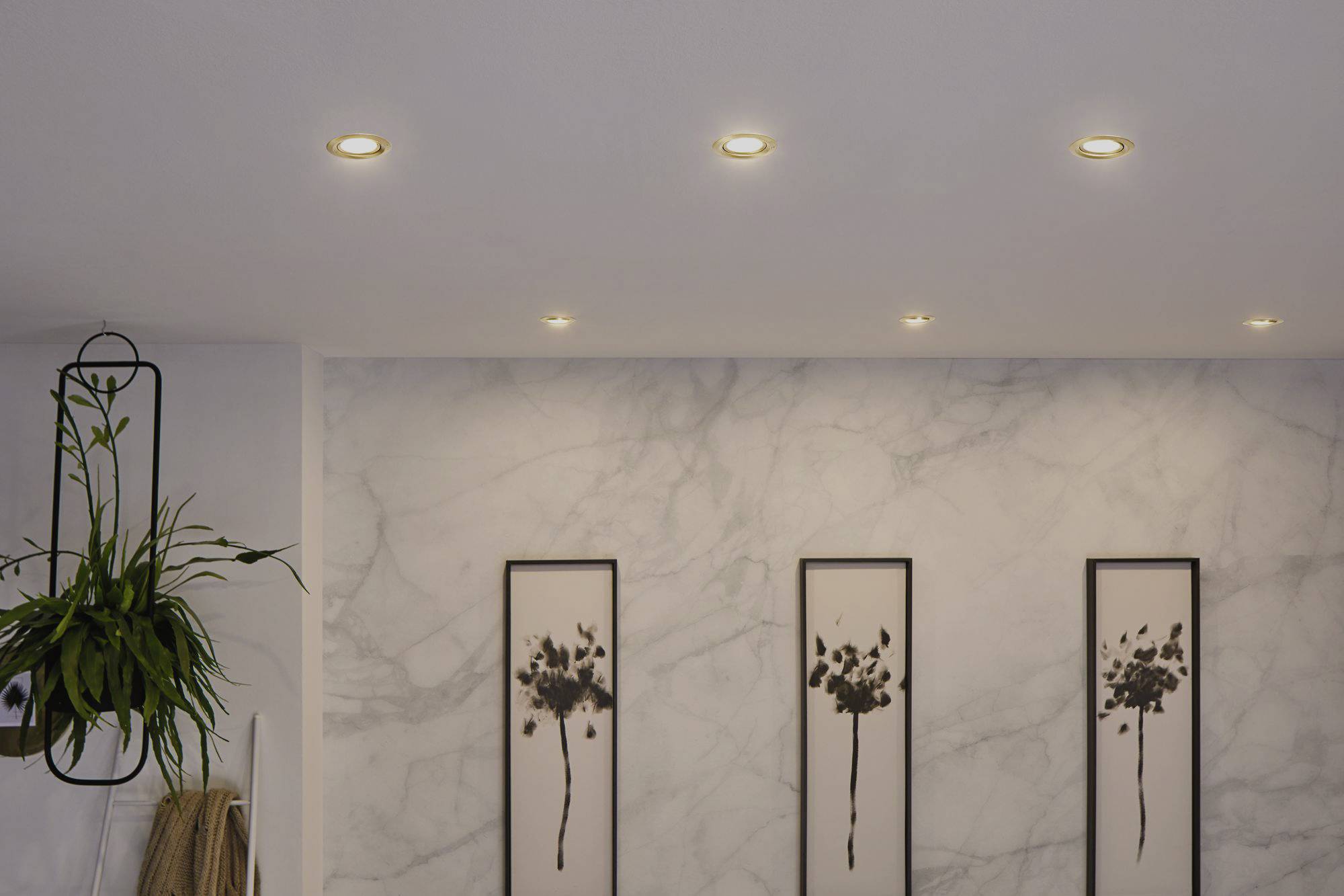 Living room with six ceiling spotlights, three black-framed artworks featuring floral motifs on a marble-papered wall, hanging plants to the left.