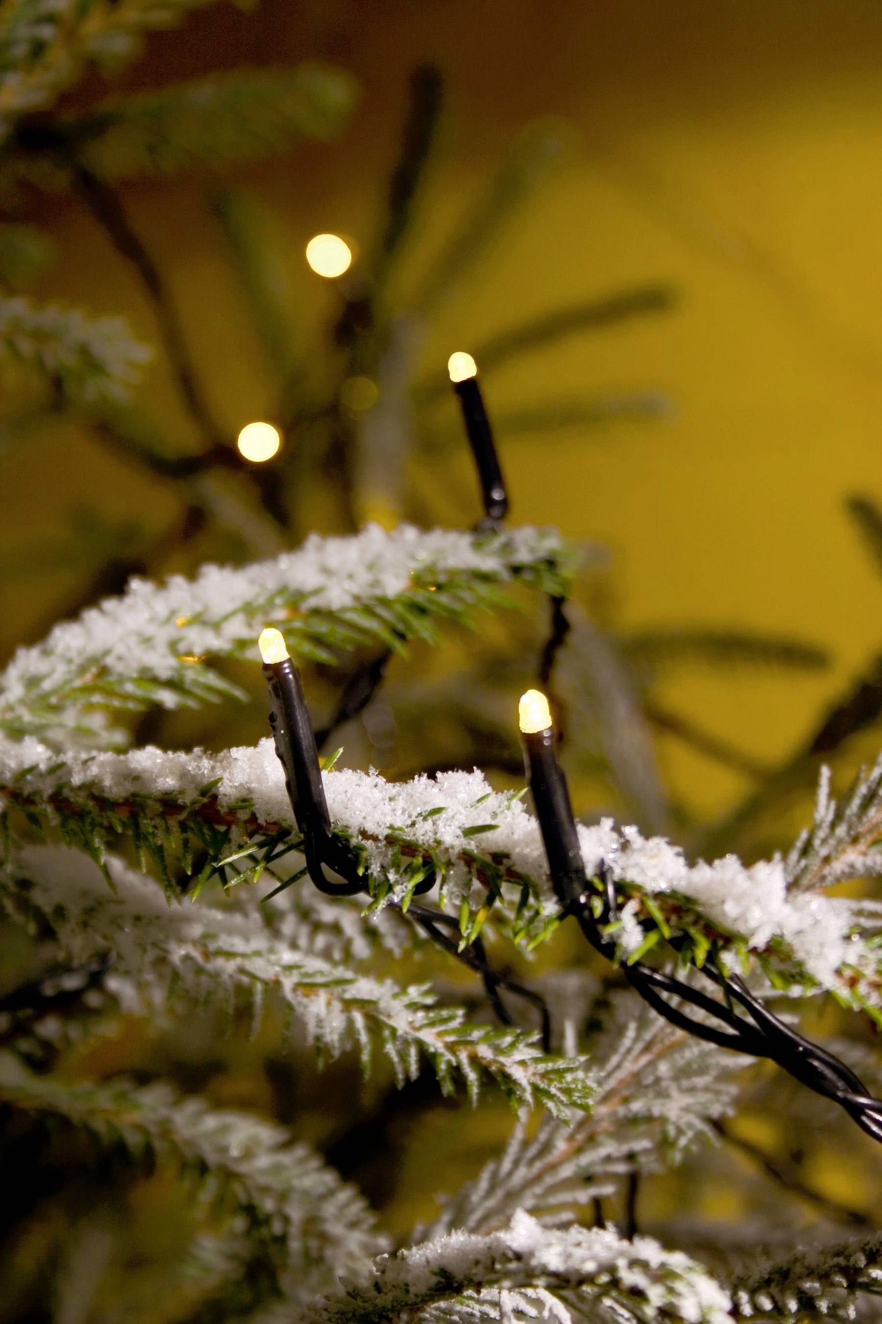 Close-up of a snow-covered Christmas tree branch with small, warm white glowing lights against a blurred, golden background.