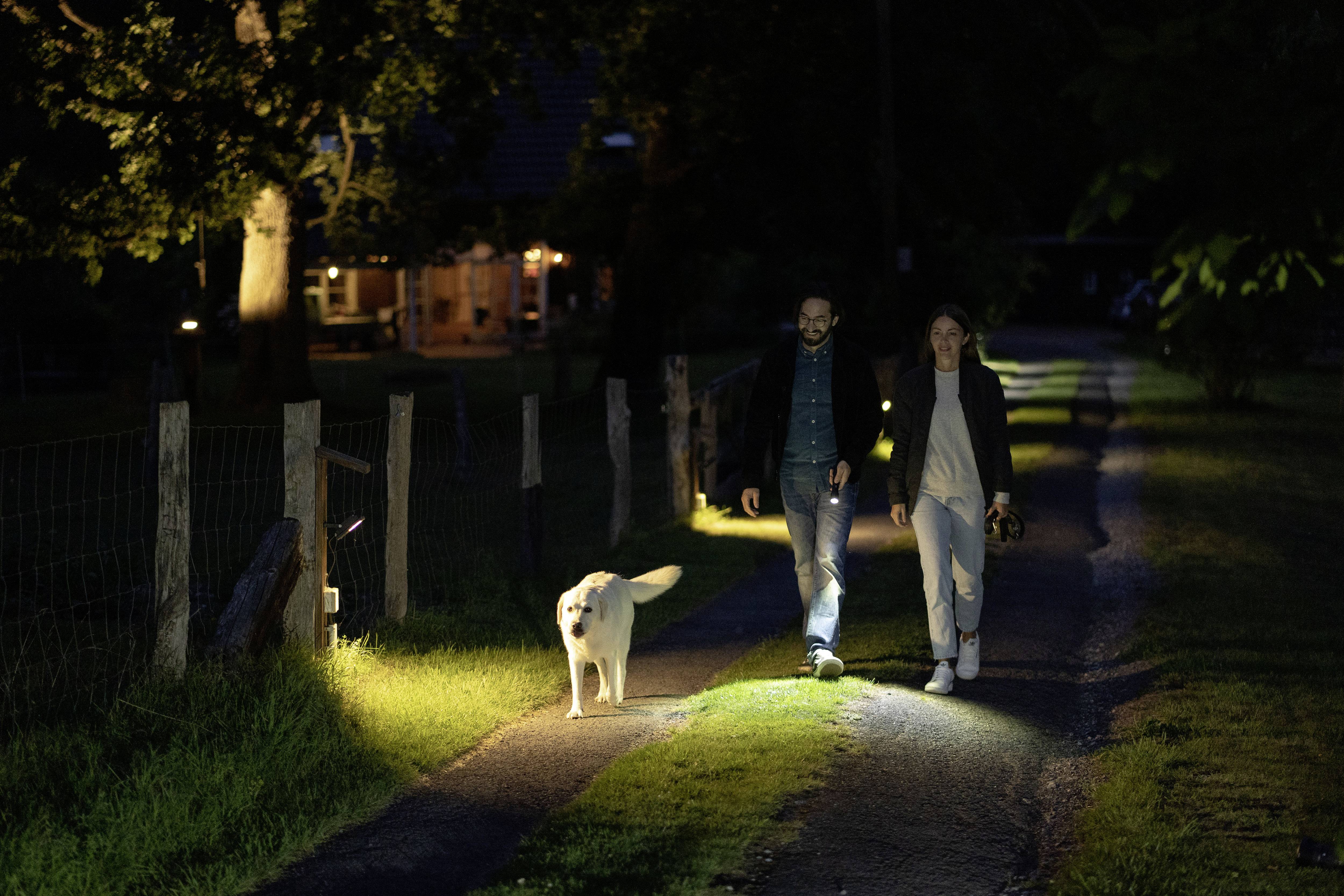 A couple is walking at night with a dog on an illuminated forest path. A lit house can be seen in the background on the left.