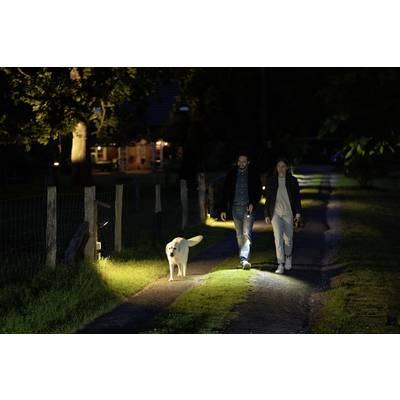 A couple is walking at night with a dog on an illuminated forest path. A lit house can be seen in the background on the left.