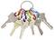 'A set of diverse metal keys on a key ring, each key with distinct shapes and grooves, suggesting use for different locks.'