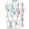Diagram shows 3 different safety systems for climbing equipment. Each system is numbered and illustrates various steps.
