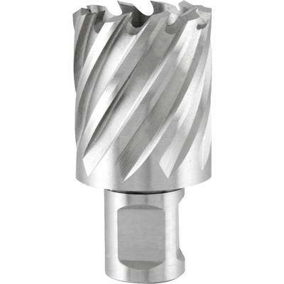 Metal drill bit with spiral-fluted cutting edges, cylindrical shape.