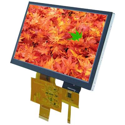 A screen displays brilliantly glowing red and orange autumn leaves with a strikingly green leaf in the centre.