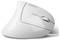 White, ergonomic vertical computer mouse with cable and scroll wheel.