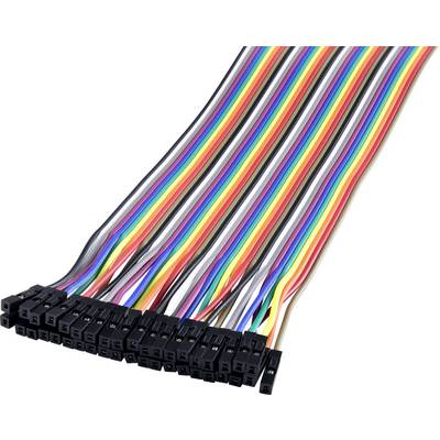 Multicoloured flat ribbon cable with several small black connectors at the end, suitable for electronic projects and connections.