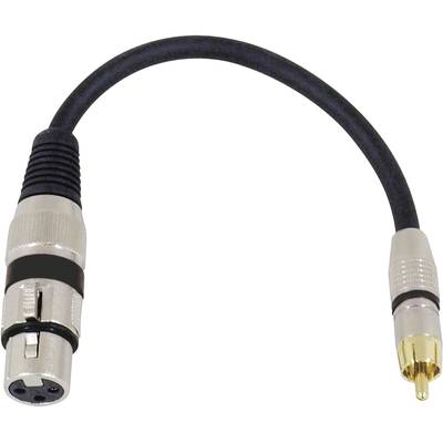An audio cable with an XLR plug on one side and a phono (RCA) plug on the other side.