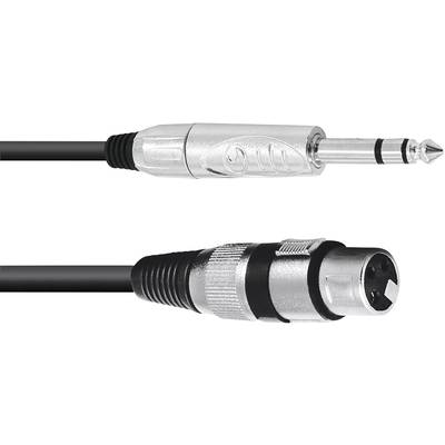 An audio cable with a 6.3 mm jack plug on one side and an XLR connector on the other side.