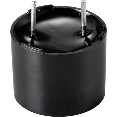 Black cylindrical piezo buzzer with two metal pins. Used for tone generation in electronic devices.